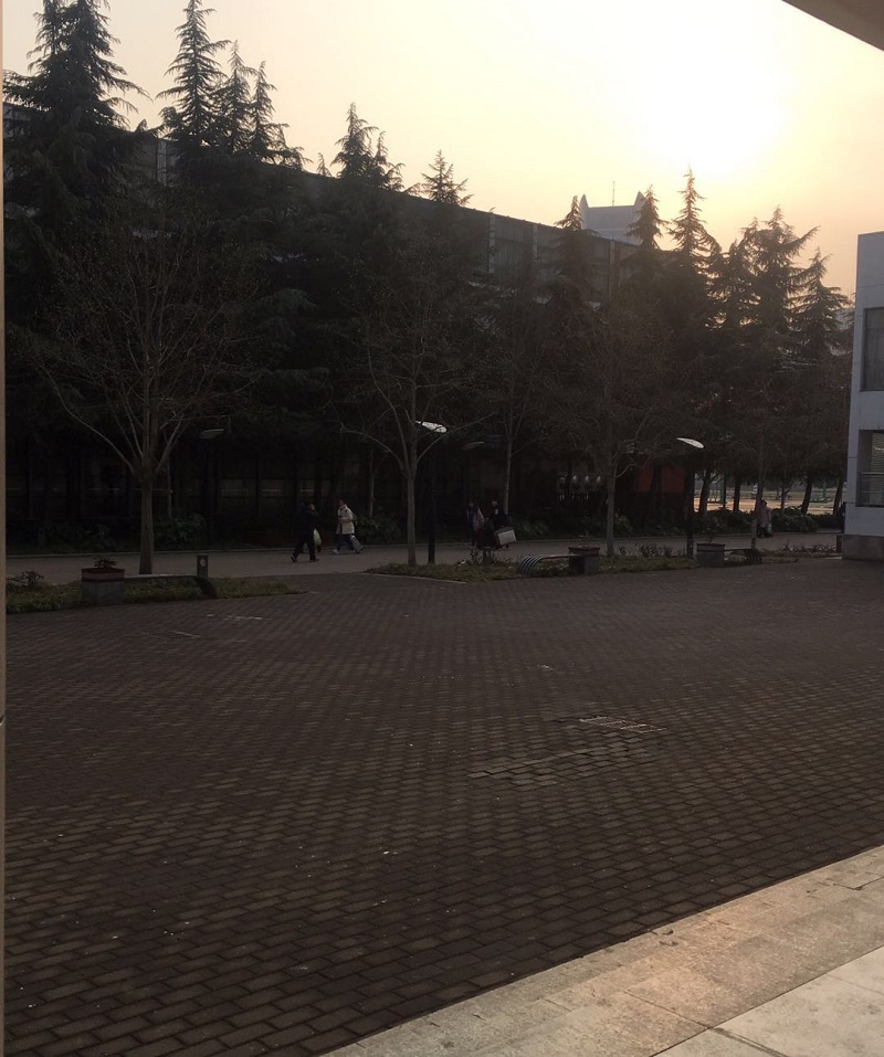 微信图片_20190131183048.jpg