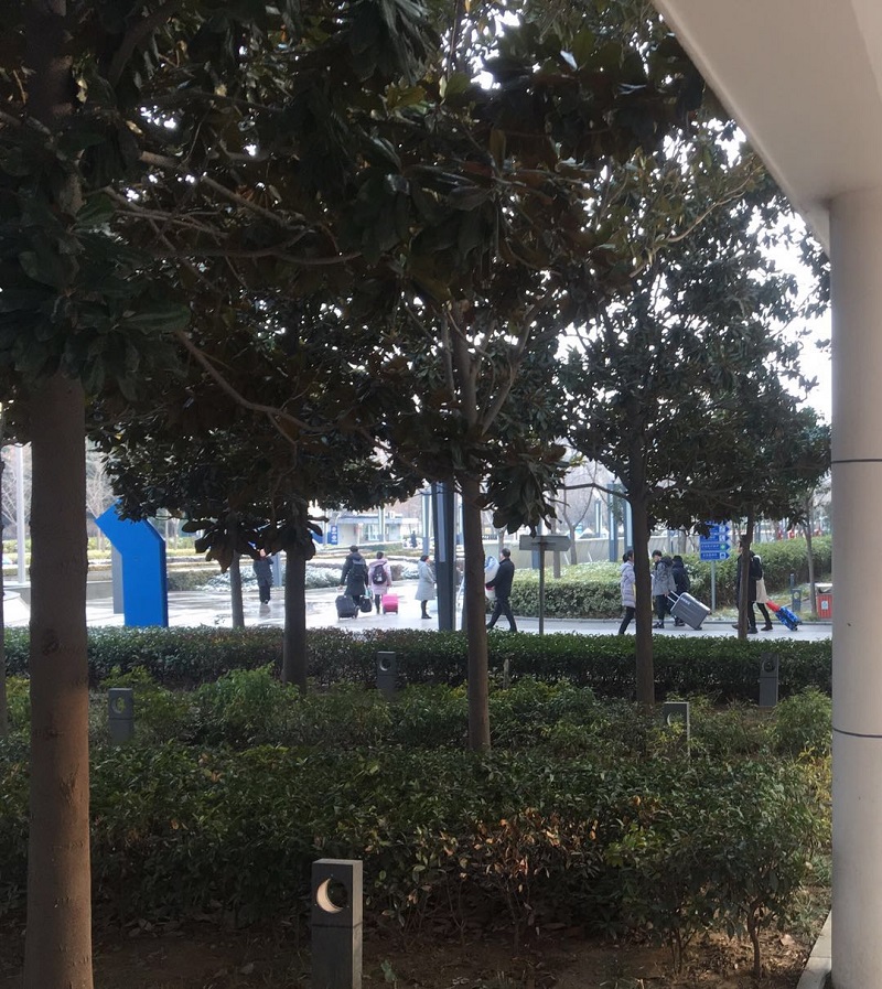 微信图片_20190131181555.jpg
