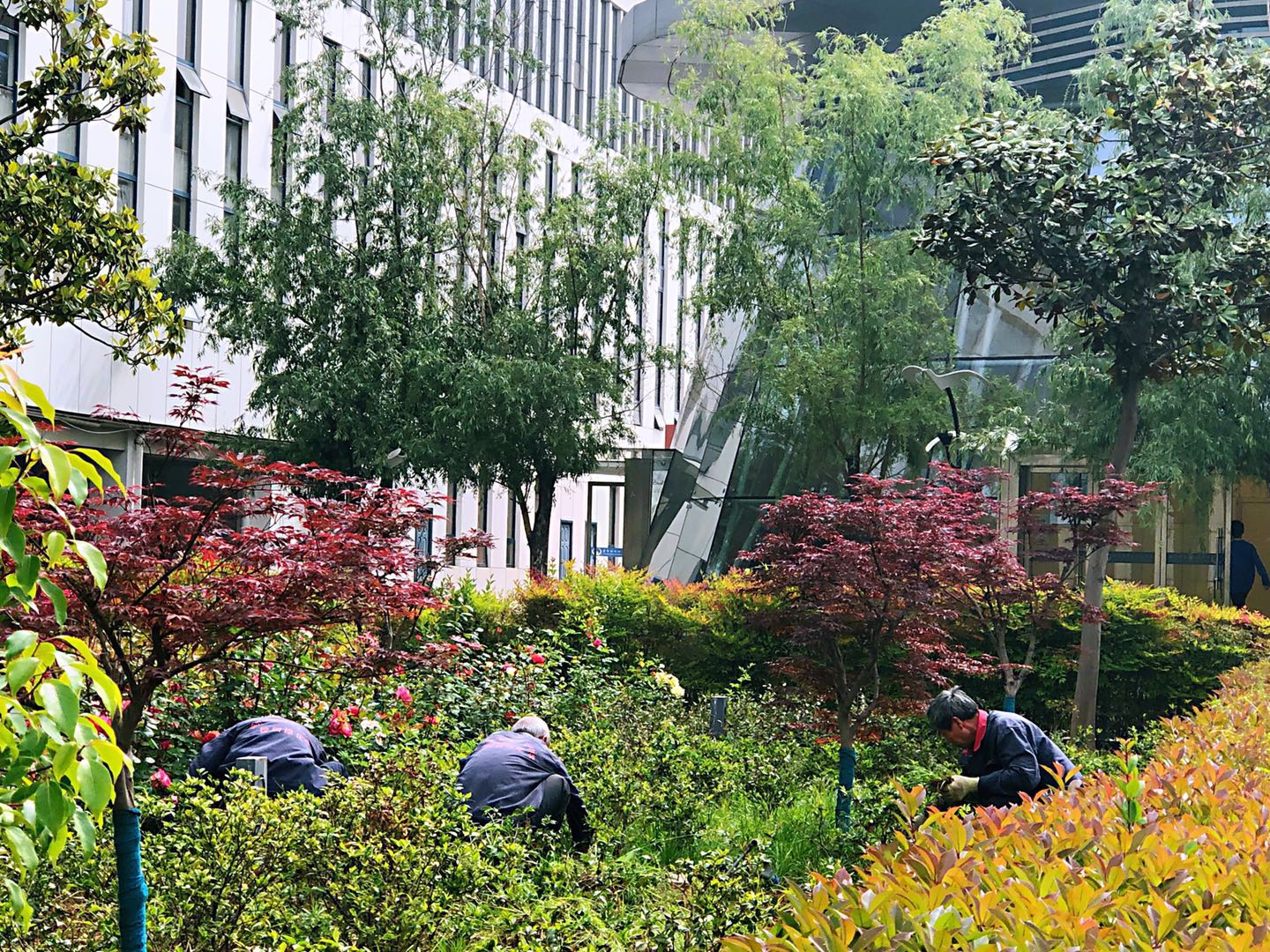 微信图片_20190504095917.jpg