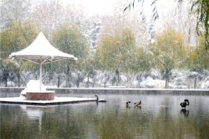 【多图】美丽四十七雪景